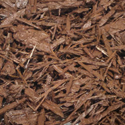 Platinum-Chocolate-Brown