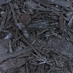Platinum-Mocha-Brown
