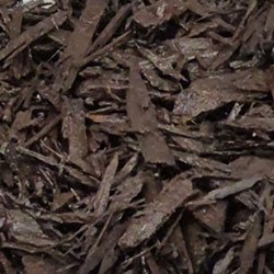 Platinum-Walnut-Brown